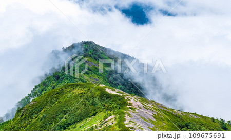 夏の爺ヶ岳登山(雲海) 夏の爺ヶ岳登山(雲海) 109675691
