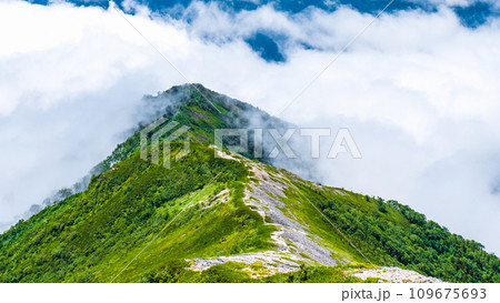 夏の爺ヶ岳登山（雲海） 109675693