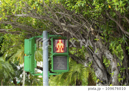 信号 信号機 合図 109676010