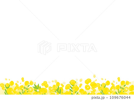 水彩のミモザのフレーム 109676044