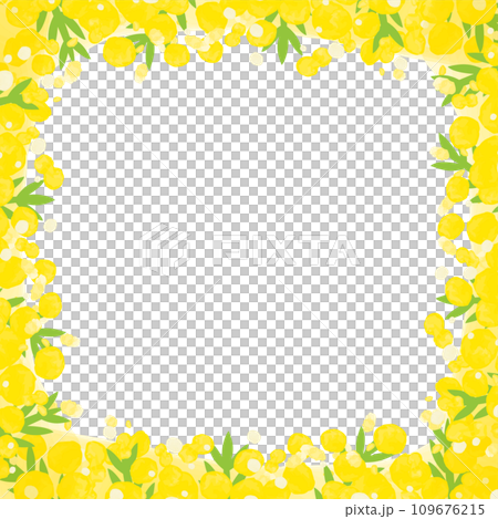 正方形の水彩のミモザフレーム 109676215