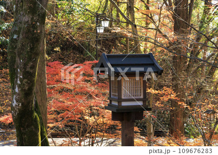 下呂温泉 温泉寺の紅葉 下呂温泉 温泉寺の紅葉 109676283