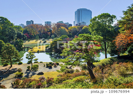 東京都　六義園　（りくぎえん）　秋の藤代峠からの展望　特別名勝 109676994