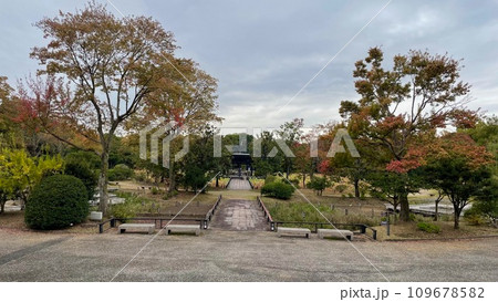紅葉が始まった公園の木々 紅葉が始まった公園の木々 109678582