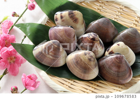 竹ざるの上のはまぐり　桃の花 109678583