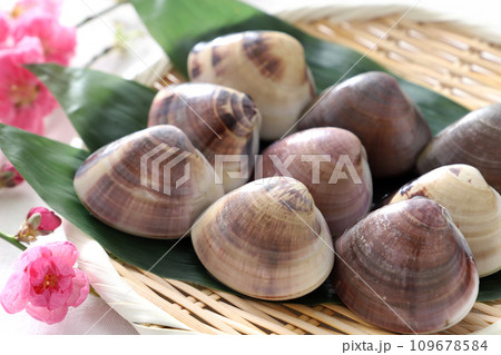 竹ざるの上のはまぐり　桃の花 109678584