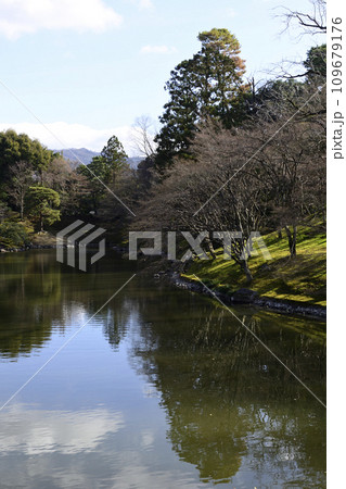 京都仙洞御所　北池　女院御所の池　冬を迎える景観 109679176