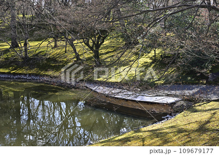 京都仙洞御所 北池 女院御所の池 冬を迎える景観 京都仙洞御所 北池 女院御所の池 冬を迎える景観 109679177