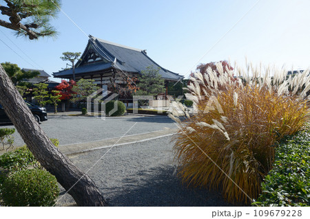 阿弥陀寺　本堂　京都市上京区 109679228