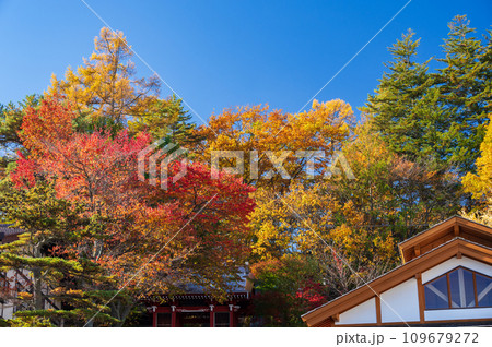 草津温泉の秋 光泉寺の紅葉 御座之湯 草津温泉の秋 光泉寺の紅葉 御座之湯 109679272