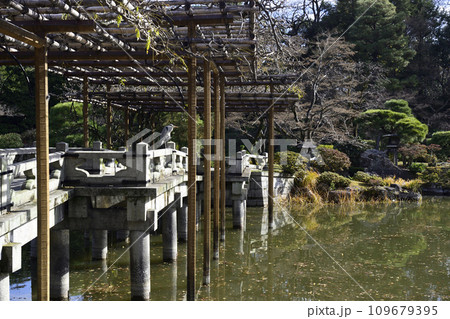 京都仙洞御所 南池 八ッ橋 冬枯れの光景 京都仙洞御所 南池 八ッ橋 冬枯れの光景 109679395