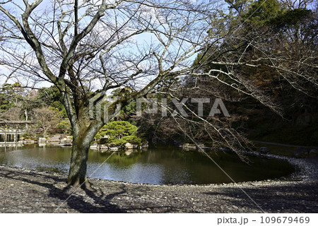 京都仙洞御所 南池 冬枯れの光景 京都仙洞御所 南池 冬枯れの光景 109679469