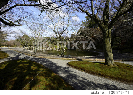 京都仙洞御所　南池　冬枯れの光景 109679471