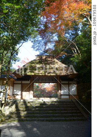 秋の法然院 山門 京都市左京区鹿ヶ谷 秋の法然院 山門 京都市左京区鹿ヶ谷 109679588