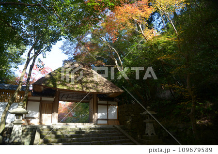 秋の法然院 山門 京都市左京区鹿ヶ谷 秋の法然院 山門 京都市左京区鹿ヶ谷 109679589