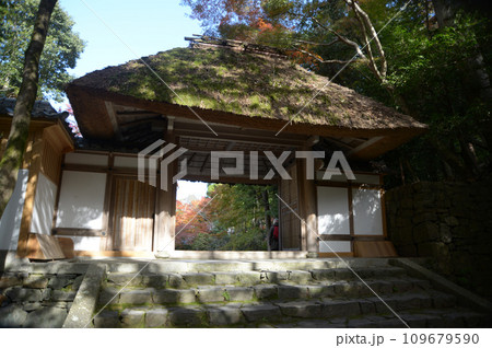 秋の法然院　山門　京都市左京区鹿ヶ谷 109679590