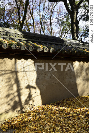 賀茂御祖神社（下鴨神社）摂社　河合神社　晩秋 109679603