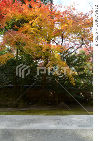 秋の法然院　白砂壇と紅葉　京都市左京区鹿ヶ谷 109679632