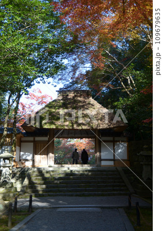 秋の法然院　山門と紅葉　京都市左京区鹿ヶ谷 109679635