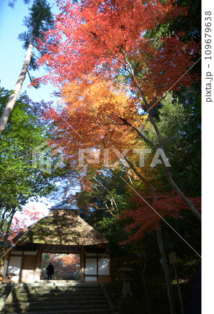 秋の法然院 山門と紅葉 京都市左京区鹿ヶ谷 秋の法然院 山門と紅葉 京都市左京区鹿ヶ谷 109679638