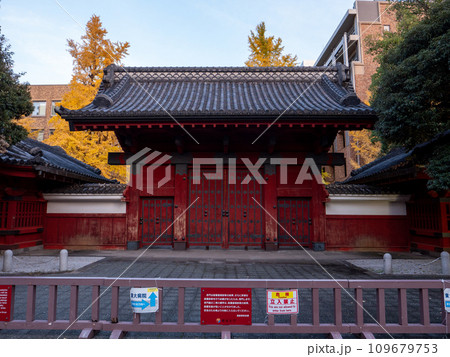 晩秋の東京大学赤門 109679753
