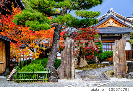 京都、上善寺の紅葉 京都、上善寺の紅葉 109679795