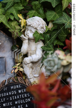 マイガーデン 109679989