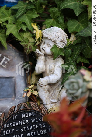 マイガーデン マイガーデン 109679990