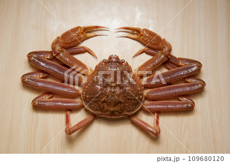 ズワイガニ 109680120