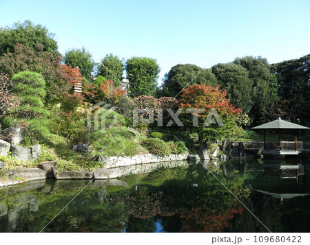 紅葉が美しい秋の目白庭園 紅葉が美しい秋の目白庭園 109680422