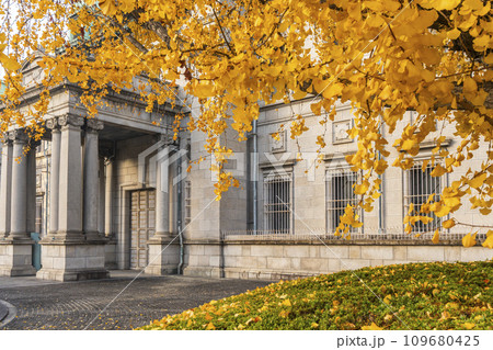 秋の大阪　日本銀行大阪支店と銀杏 109680425