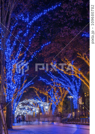 冬の大阪　中之島イルミネーションストリート 109680782