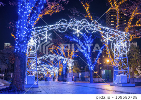 冬の大阪 中之島イルミネーションストリート 冬の大阪 中之島イルミネーションストリート 109680788