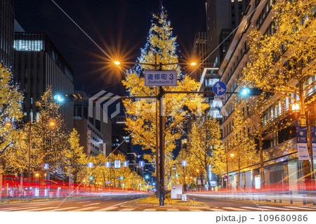 大阪・光の饗宴2023 御堂筋イルミネーション 大阪・光の饗宴2023 御堂筋イルミネーション 109680986