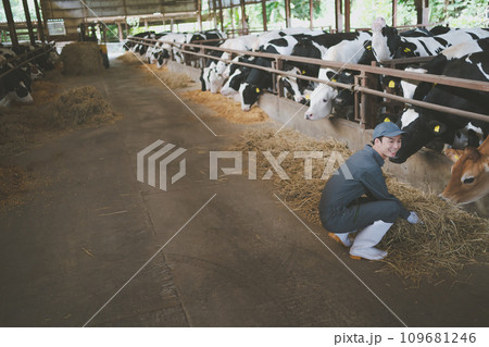ranch 109681246