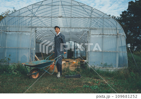 vegetable field vegetable field 109681252