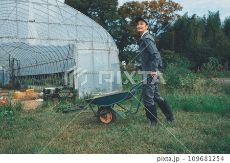 vegetable field 109681254