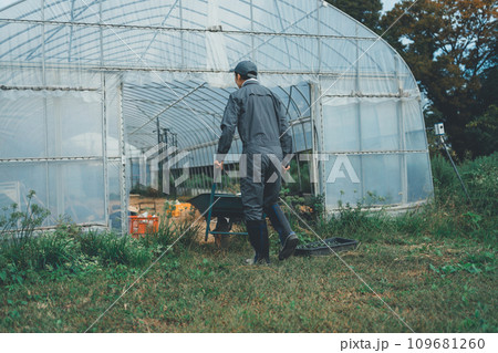 vegetable field vegetable field 109681260