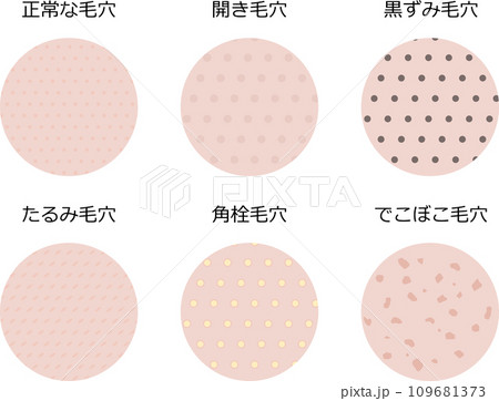肌表面から見た毛穴のイラストセット 109681373