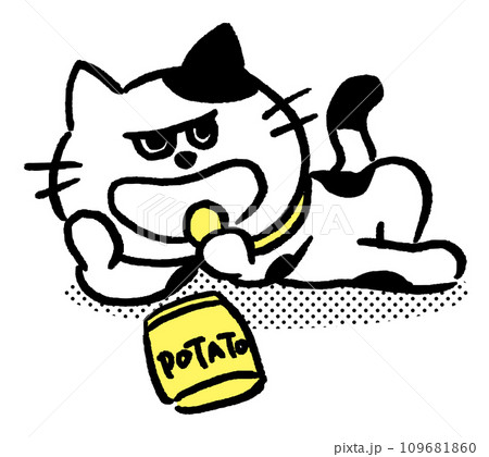 白黒の目つきがワルくてニヤリと笑ったブチ猫 白黒の目つきがワルくてニヤリと笑ったブチ猫 109681860