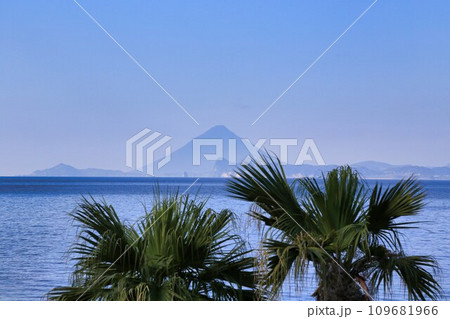 道の駅根占（鹿児島県） 109681966