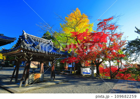 【滋賀県】晴天の西教寺の紅葉(鐘楼) 【滋賀県】晴天の西教寺の紅葉(鐘楼) 109682259