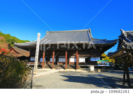 【滋賀県】快晴の西教寺の本堂 109682261