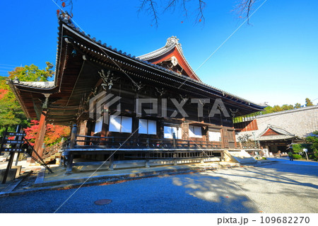 【滋賀県】快晴の西教寺の本堂 109682270