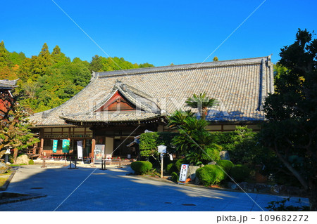 【滋賀県】晴天の西教寺の大本坊 109682272