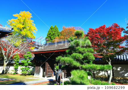 【滋賀県】晴天の西教寺の紅葉（宗祖大師殿） 109682299