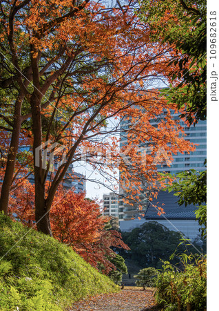 浜離宮恩賜公園　東京都中央区　秋　紅葉 109682618