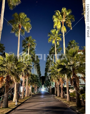 夜の逗子マリーナ 109682641