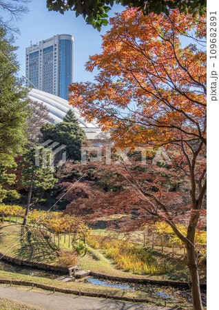 小石川後楽園 東京都文京区 秋 紅葉 東京ドーム 小石川後楽園 東京都文京区 秋 紅葉 東京ドーム 109682891