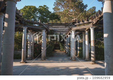 View of old structure at The Hill Garden and Pergola. Trees growing by columns with blue sky in background. Scenic view of park in Hampstead Heath during sunny day. 109682959